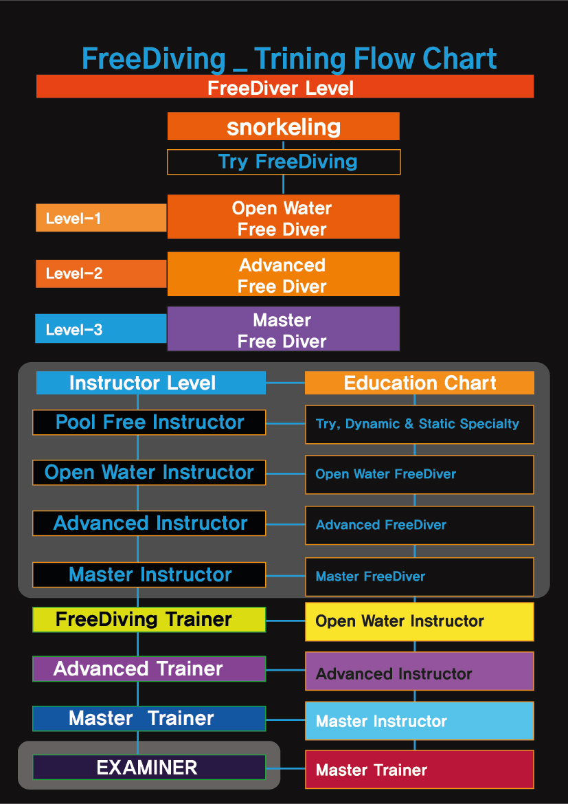 FreeDiving Training Flow Chart