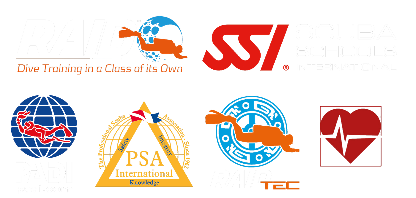 RAID · SSI · PADI · PSA International · RAID TEC · Emergency First Response