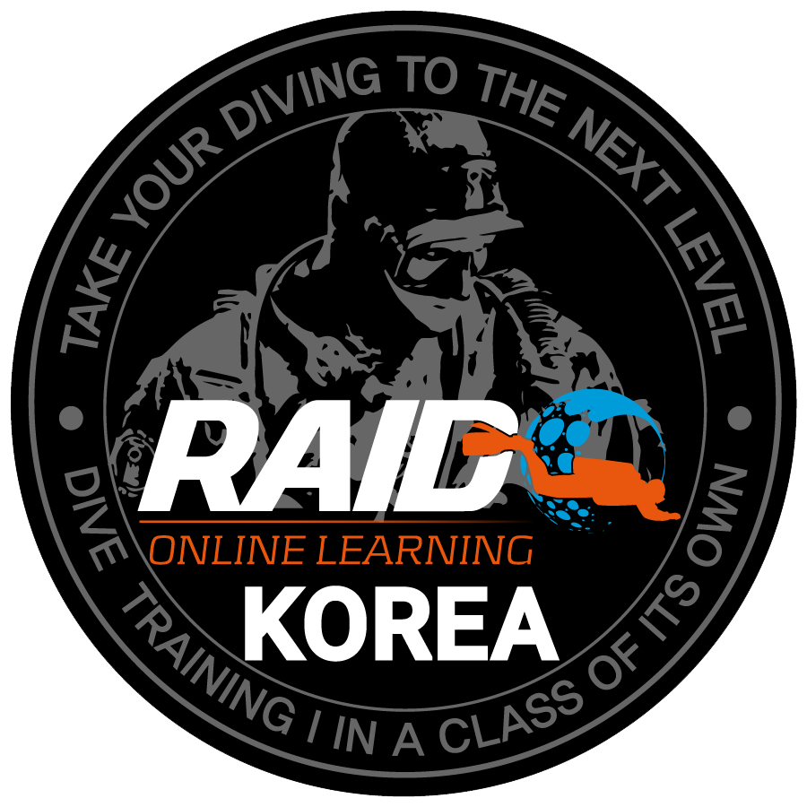 RAID Korea